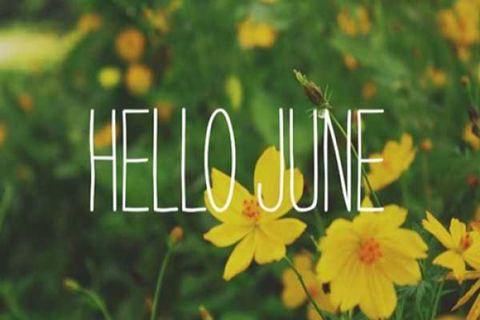 Hoa sinh nhật tháng 6 tặng người thân và ý nghĩa 968091440