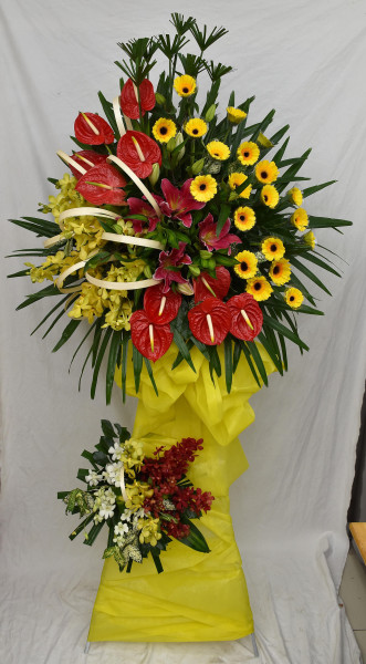 Lẵng Hoa chúc mừng khai trương Lan Vàng Hồng Môn Đỏ giao nhanh hỏa tốc TPHCM 1