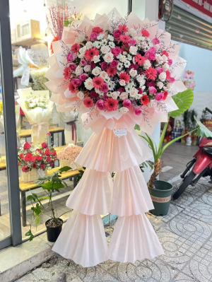 Kệ hoa khai trương hồng rực rỡ : hồng sen, hồng kem, đồng tiền