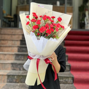 Bó hoa chúc mừng sinh nhật : cẩm chướng đỏ