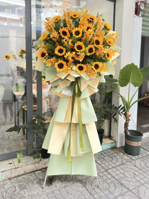 Kệ hoa khai trương hướng dương mix lan moka vàng rực rỡ