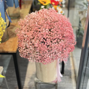 Hộp hoa baby hồng tặng chúc mừng sinh nhật ý nghĩa