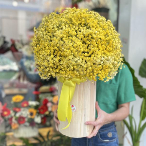 Hộp hoa baby vàng chúc mừng sinh nhật ý nghĩa