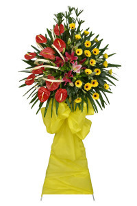 Lẵng kệ Hoa Ly Hồng Đồng Tiền tông đỏ vàng sang trọng mừng khai trương cửa hàng đẹp giao nhanh quận tân bình