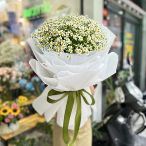 Bó hoa cúc tana tặng sinh nhật đẹp và ý nghĩa