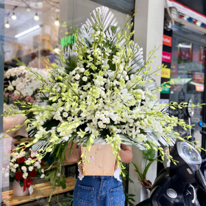 Hộp hoa viếng để bàn lan trắng mix cúc trắng