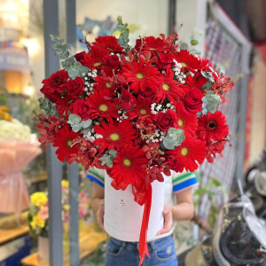 Hộp hoa chúc mừng tone đỏ may mắn : đồng tiền đỏ mix hồng đỏ