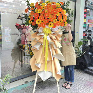 Kệ hoa chúc mừng khai trương rực rỡ : đồng tiền đỏ mix đồng tiền vàng