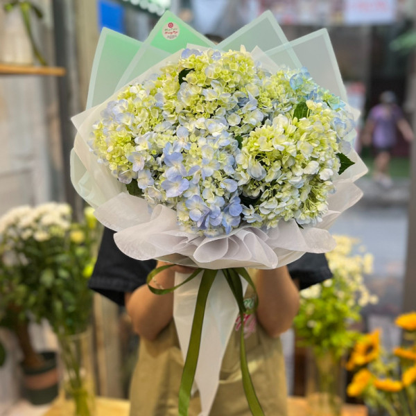 Bó hoa chúc mừng sinh nhật đẹp : hoa cẩm tú cầu 1