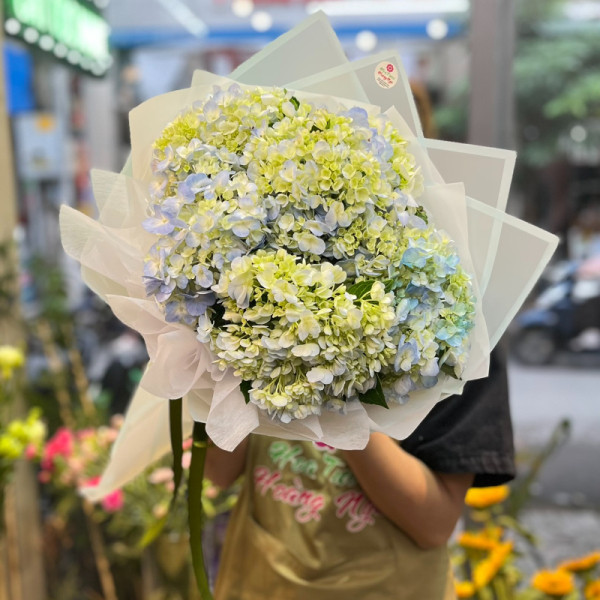 Bó hoa chúc mừng sinh nhật đẹp : hoa cẩm tú cầu 2