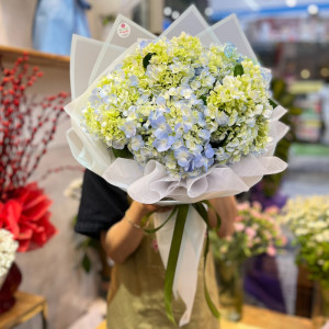 Bó hoa chúc mừng sinh nhật đẹp : hoa cẩm tú cầu