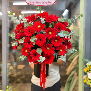 Hộp hoa chúc mừng tone đỏ : hoa đồng tiền mix lá bạc
