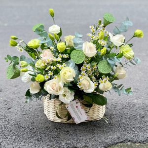 Giỏ hoa chúc mừng hồng kem mix đài sen và cát tường ý nghĩa