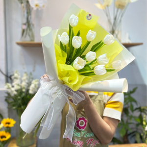 Bó hoa tuylip 10 bông tặng sinh nhật đẹp và sang trọng