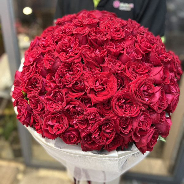 Bó hoa hồng Ohara đỏ 100 bông 2