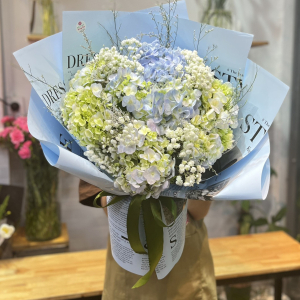 Bó cẩm tú cầu mix baby và sao tím