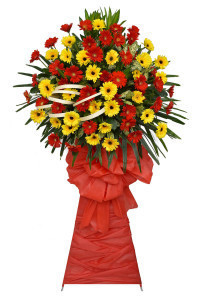 Kệ Hoa Đồng Tiền Vàng Đỏ