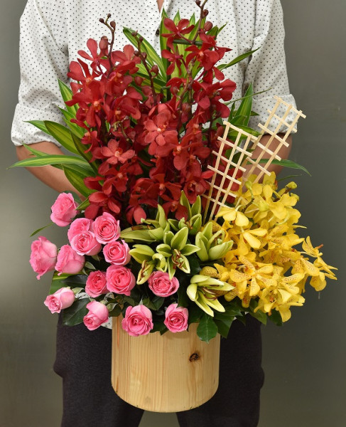 Hộp Hoa Lan Vàng Đỏ 1