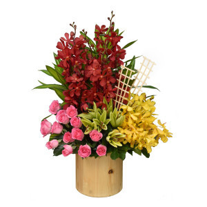 Hộp Hoa Lan Vàng Đỏ