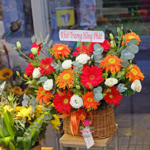 Giỏ hoa đồng tiền mừng khai trương hồng phát