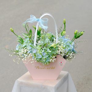 Giỏ hoa cẩm tú cầu mix baby