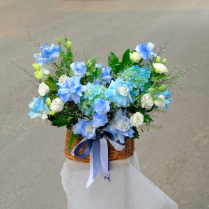 Giỏ hoa mừng khai trương tú cầu xanh