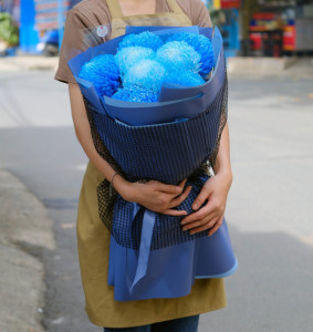 Bó hoa cúc mẫu đơn xanh dương 8 bông