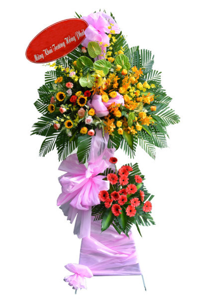 Tương Lai Tươi Sáng 1