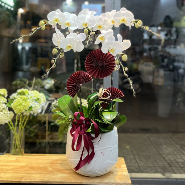 Chậu Lan Hồ Điệp 5 Cành Trắng 3