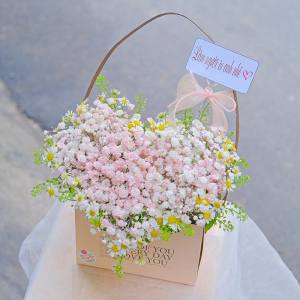 Giỏ Hoa baby mini hình trái tim