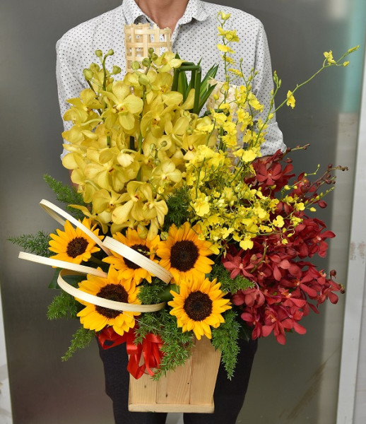 Lan Vàng Hướng Dương 1