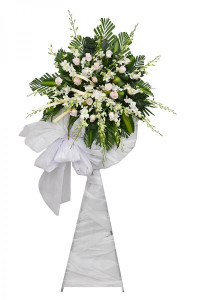 Kệ hoa lan trắng hồng kem nơ trắng chia buồn đám tang