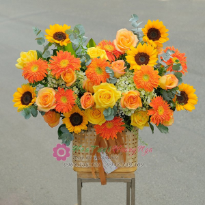 Lẵng hoa khai trương hướng dương vàng