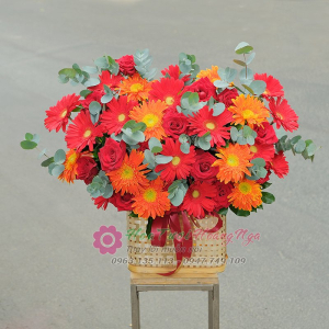 Lẵng hoa khai trương đồng tiền đỏ