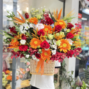 Lẵng hoa đồng tiền thiên điểu mừng khai trương hồng phát