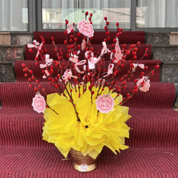 Bình hoa nụ Tầm Xuân Đỏ 30 cành nơ vàng 2