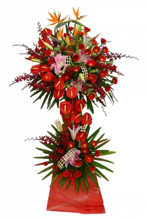 Con Đường Thành Công