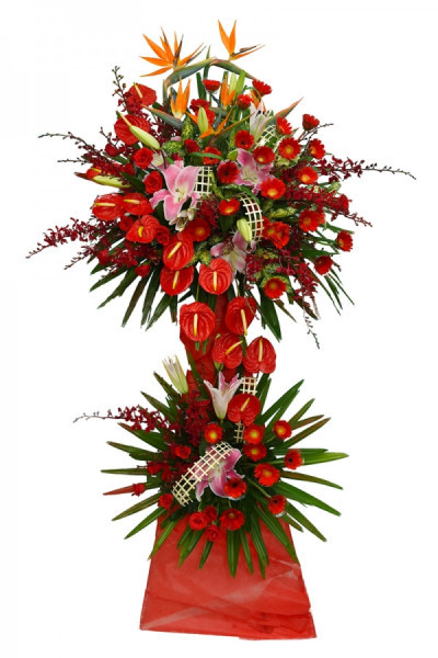 Con Đường Thành Công 1