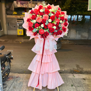Lẵng hoa khai trương cúc mẫu đơn mix hồng đỏ cao cấp