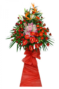Hưng Thịnh