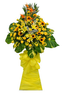 Thành Đạt Vươn Xa