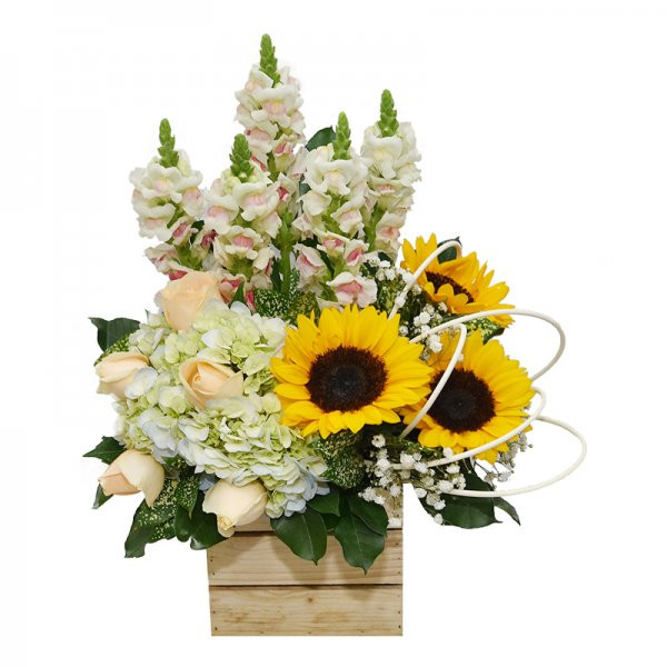 Tình Bạn Đẹp 1