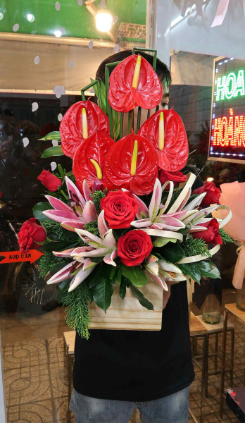 Hộp Hoa Môn Đỏ Ly Hồng 1