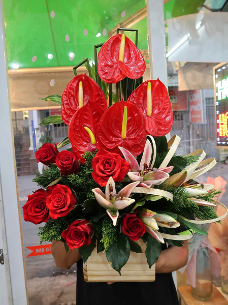 Hộp Hoa Môn Đỏ Ly Hồng 2