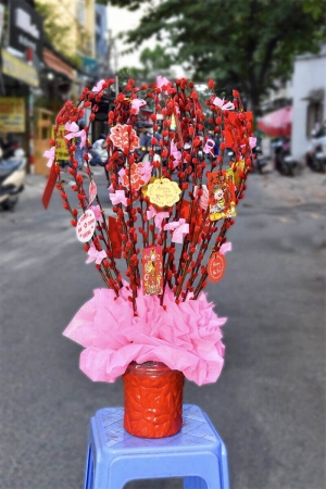 Nụ tầm xuân giá rẻ (giao nhanh TPHCM)