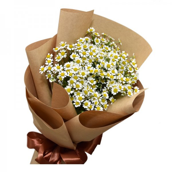 Bó hoa cúc tana giấy báo đơn giản 1