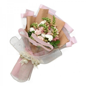 Cẩm chướng hồng tinh tế