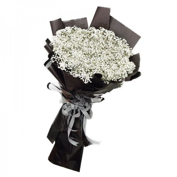 Super Man Baby ( Baby Hà Lan Nhập ) 1