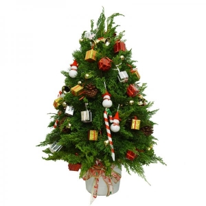 Cây thông Noel chúc Giáng Sinh An Lành