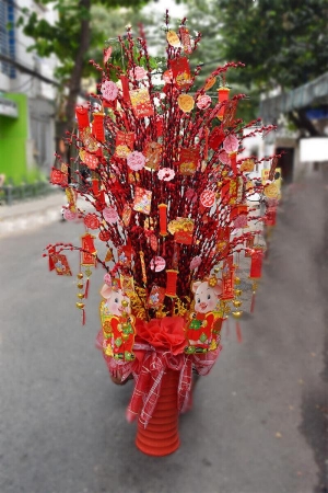 Phong Pháo Rực Rở